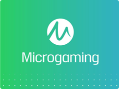 Microgaming Launches the First Online Casino.